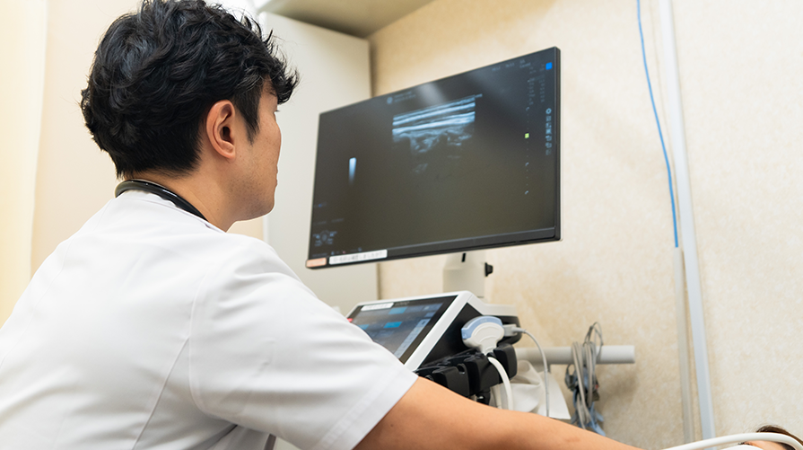 認定超音波専門技師によるエコー検査